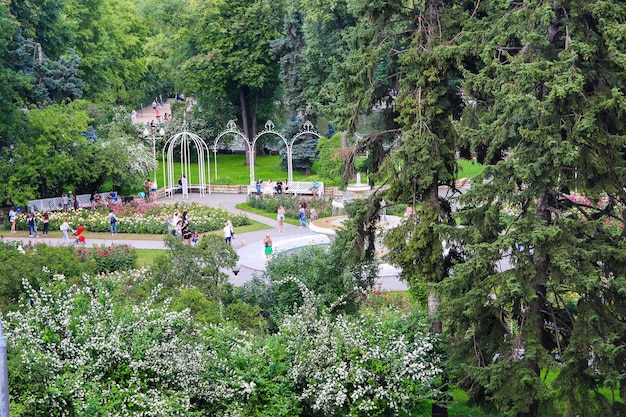 Pflanzen und Bäume im Park