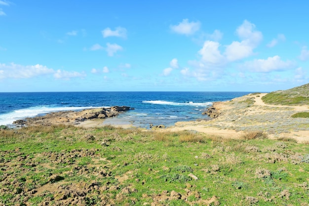 Pflanzen und Sand in Argentiera Küste Sardiniens