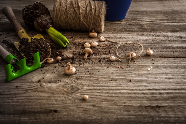 Pflanzen zum Pflanzen und Gartenzubehör