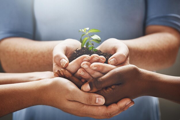 Foto pflanzenhände und eine gruppe von menschen, die im garten arbeiten, landwirtschaft und geschäftswachstum oder zusammenarbeit, unterstützung und teamarbeit, palmensetzlinge, boden und vielfalt, frau, mann oder gemeinschaftliche agrarlandwirtschaft oder tag der erde