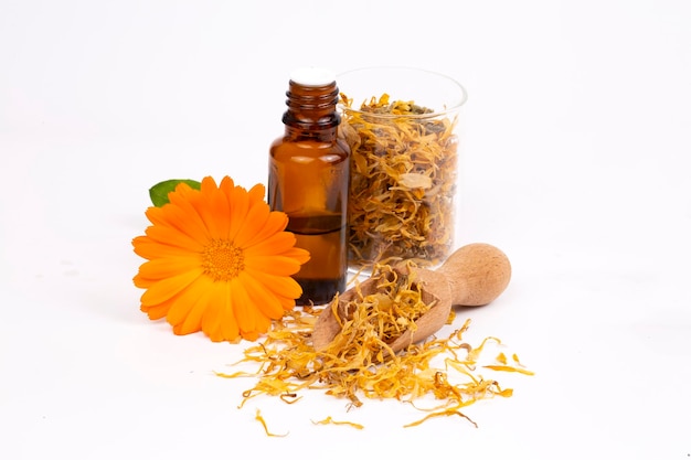 Pflanzliche Calendula officinalis im Glas und Tropfenöl isoliert