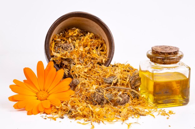 Pflanzliche Calendula officinalis im Glas und Tropfenöl isoliert