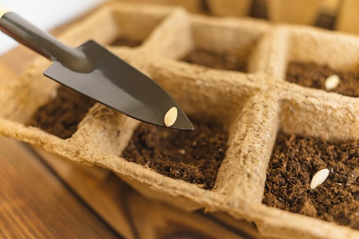 Foto pflanzung von samen in torftopfen auf einem alten grunge-holztisch hausgartenbau selektiver schwerpunkt