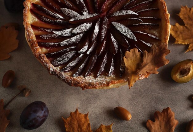 Pflaumenkuchenscheiben mit Puderzucker auf grauem Hintergrund im Herbstthema