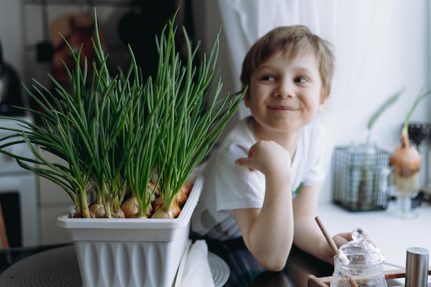 Pflege des kleinen Jungen von gepflanzten frischen Zwiebeln