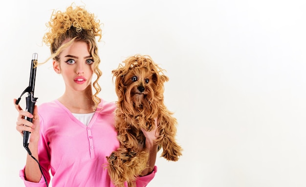 Pflegendes lockiges Mädchen mit Yorkshire-Terrier-Schönheitssalon für Tiere, Hundefrisur, Frau mit Haustier
