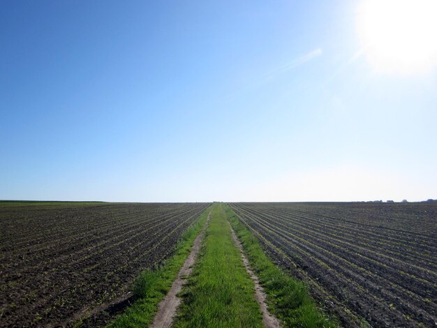 Pflügelfeld für Kartoffeln in braunem Boden auf offener Landschaft Natur Kartoffel in gepflügeltem Feld Boden zum Anbau leckerem Gemüse Bio-Pflügelfelt unter dem sauberen blauen Himmel ist natürlicher Boden für Kartoffel