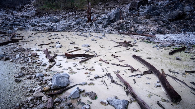 Pfützen im Halimun-Salak-Gebirge in Indonesien