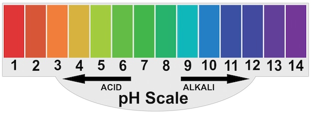 Foto ph-alkalische und saure skala