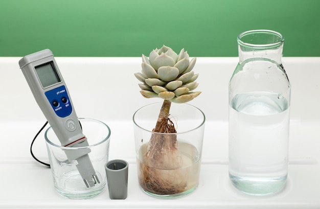 pH-Meter in Glas Wasser und Pflanze mit Wurzeln gesehen Flasche auf weißem Hintergrund