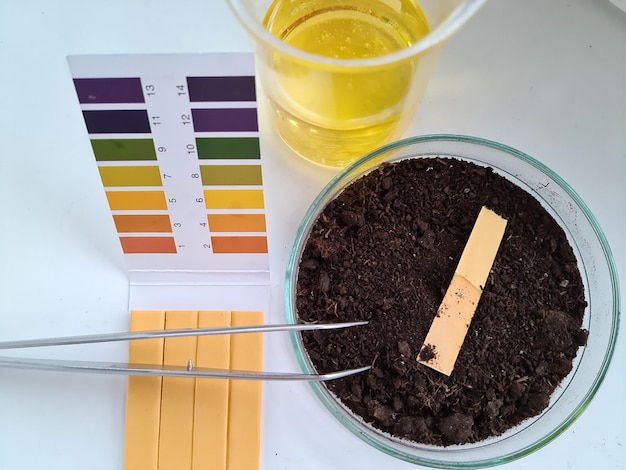 PH-Test Erde und Öl in einem Kolben