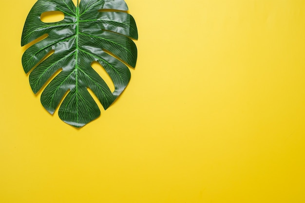 Philodendron tropische Blätter auf gelbem Farbhintergrund minimaler Sommer