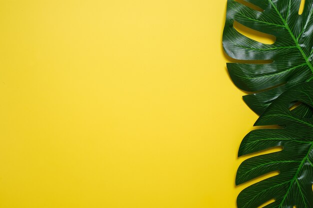 Philodendron tropische Blätter auf gelbem Farbhintergrund minimaler Sommer