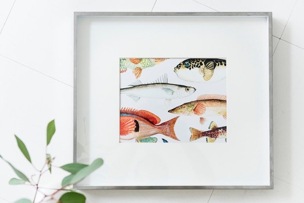 Photo frame de peixes