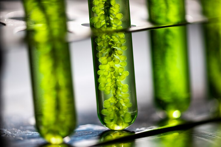 Foto photobioreactor em laboratório de algas indústria de biocombustível combustível, algae combustível, algas de pesquisa em laboratórios industriais