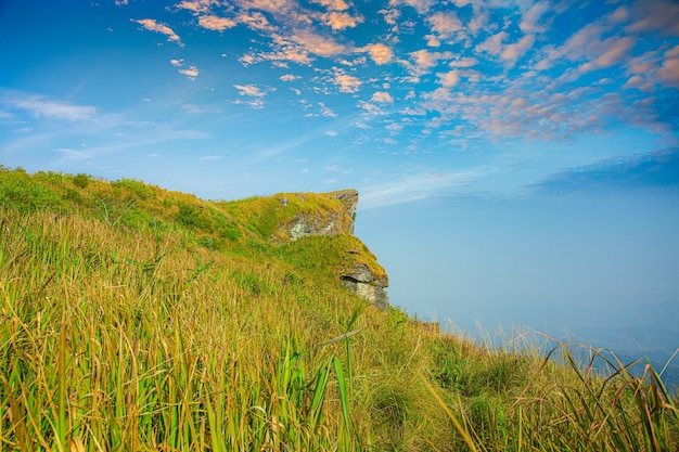 Phu Chi fa Nationalpark in der Provinz Chiang Rai Thailand