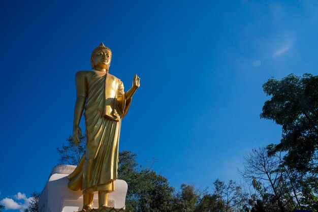 Phu khok ngio stehend goldener großer buddha mit blauem himmelshintergrund an einem sonnigen tag in chiang khan