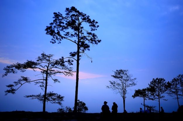 Phu Kradueng Nationalpark