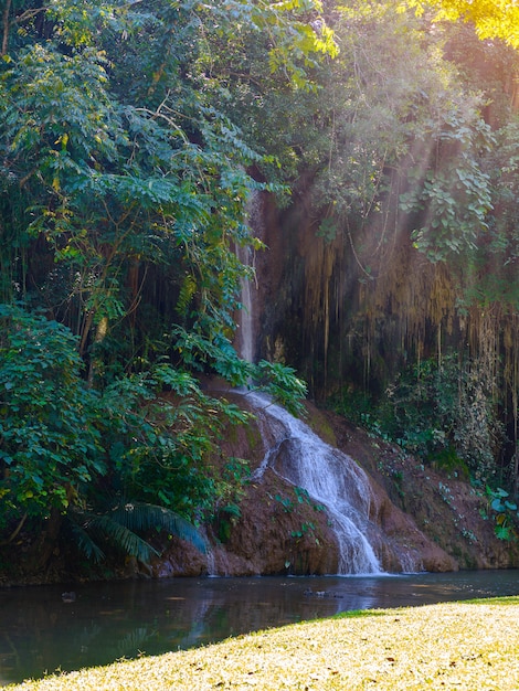 Phu Sang cachoeira com água apenas na Tailândia. -36 a 35 graus Celsius de temperatura da água que flui de um penhasco de calcário com 25 metros de altura.