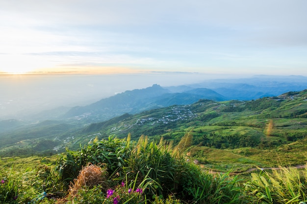 Phu Tubberk Natur