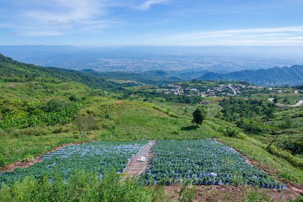 Phu Tubberk Natur