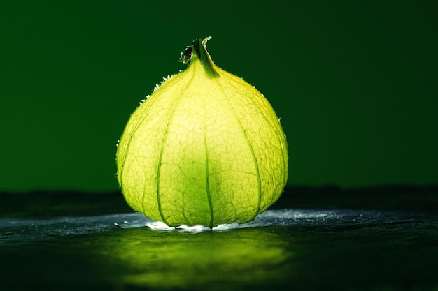 Physalis em solo úmido preto com fundo verde Fruta iluminada Vitamina C