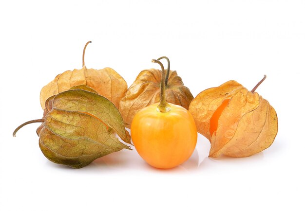 Physalis fruta en un espacio en blanco