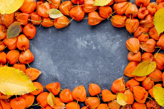 Physalis y hojas amarillas enmarcan fondo de concepto de otoño