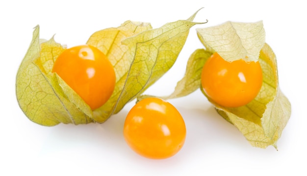 Physalis madura isolada em fundo branco