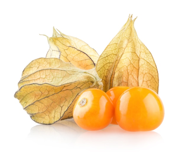 Physalis madura isolada em fundo branco