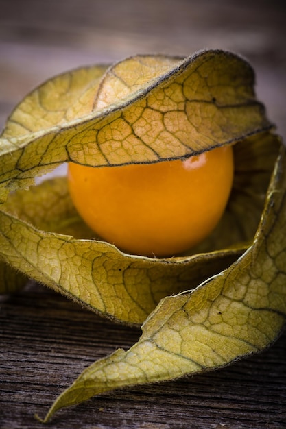 Physalis o fruta de uchuva sobre fondo de madera vieja