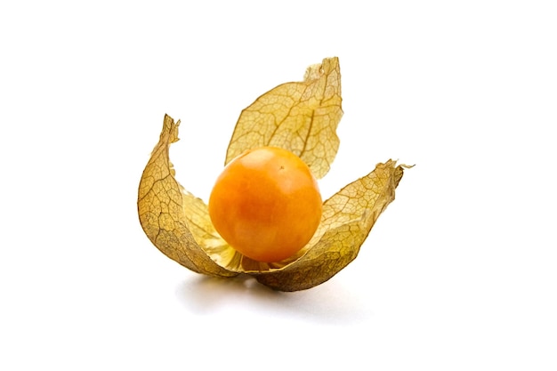 Physalis peruviana cereza molida tomates de cáscara de uchuva aislado sobre un fondo blanco.