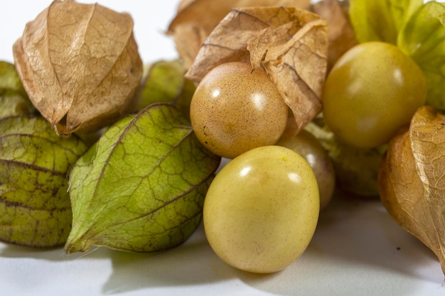 Physalis Physalis peruviana, auch bekannt als Physalis