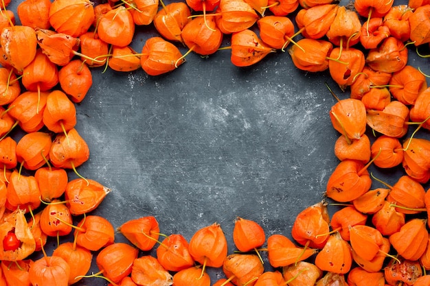 Foto physalis-rahmenhintergrund