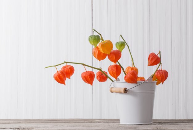 Physalis rojo en mesa de madera