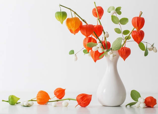 Physalis vermelho na mesa de madeira