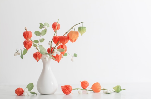 Physalis vermelho na mesa de madeira