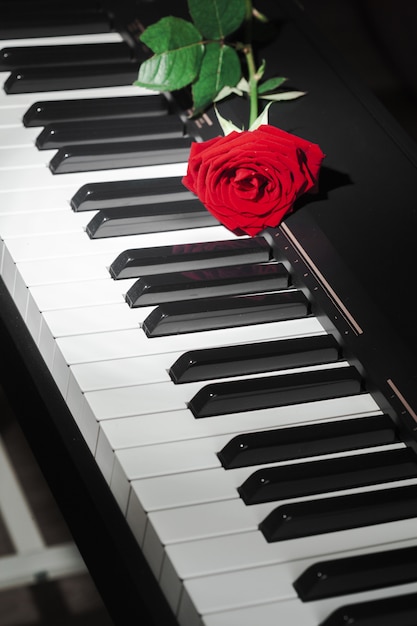 Piano de cola con rosa roja