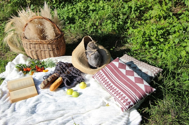 Picknick-Geschichte mit Äpfeln, Vogelbeerbrot und einem grauen Hasen im Korb