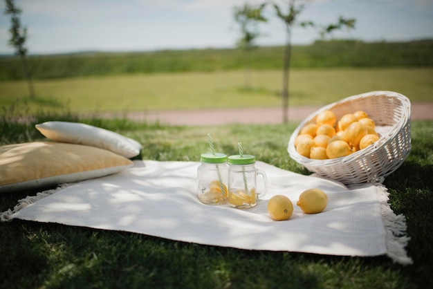 Picknick im Park, weißer Korb mit Zitronen