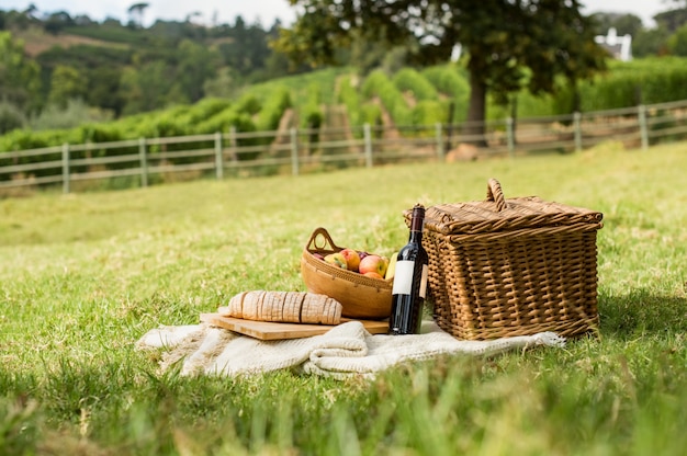 Picknick im Park