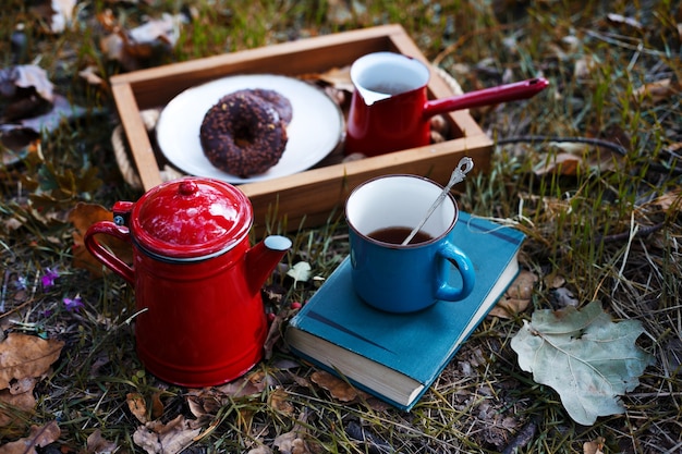 Picknick im Wald. Tee und Donuts. fallen und entspannen