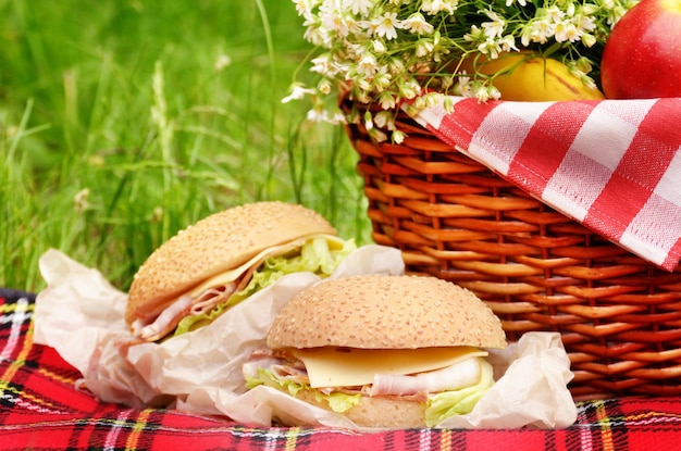 Foto picknick-korb