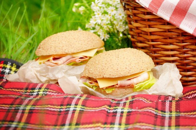 Foto picknick-korb