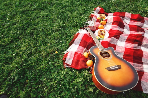 Picknick mit Gitarrenmusik auf Gras