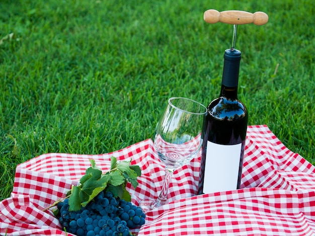 Picknick mit Rotwein im Park.