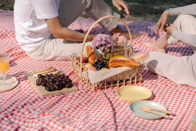 Picknick-Mittagessen-Mahlzeit im Freien Park mit Picknickkorb, der die Picknickzeit in der Parknatur im Freien genießt