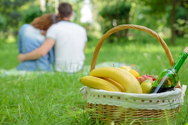 Picknick. Romantisches glückliches Paar am sonnigen Tag der Wiesennatur