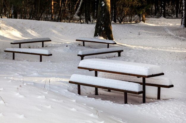 Picknickbänke und Schreibtisch im Winter mit tiefem Schnee bedeckt, Sonne scheint durch Waldbäume im Hintergrund.