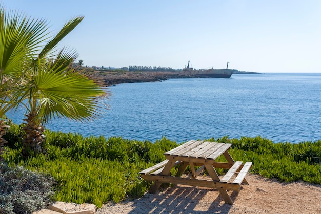 Picknickbank mit Blick auf das Meer an einem Sommertag